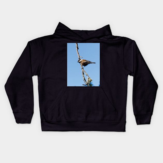 Chestnut-backed Chickadee Kids Hoodie by DPattonPD